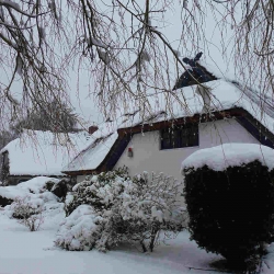 Landhaus-im-Schnee